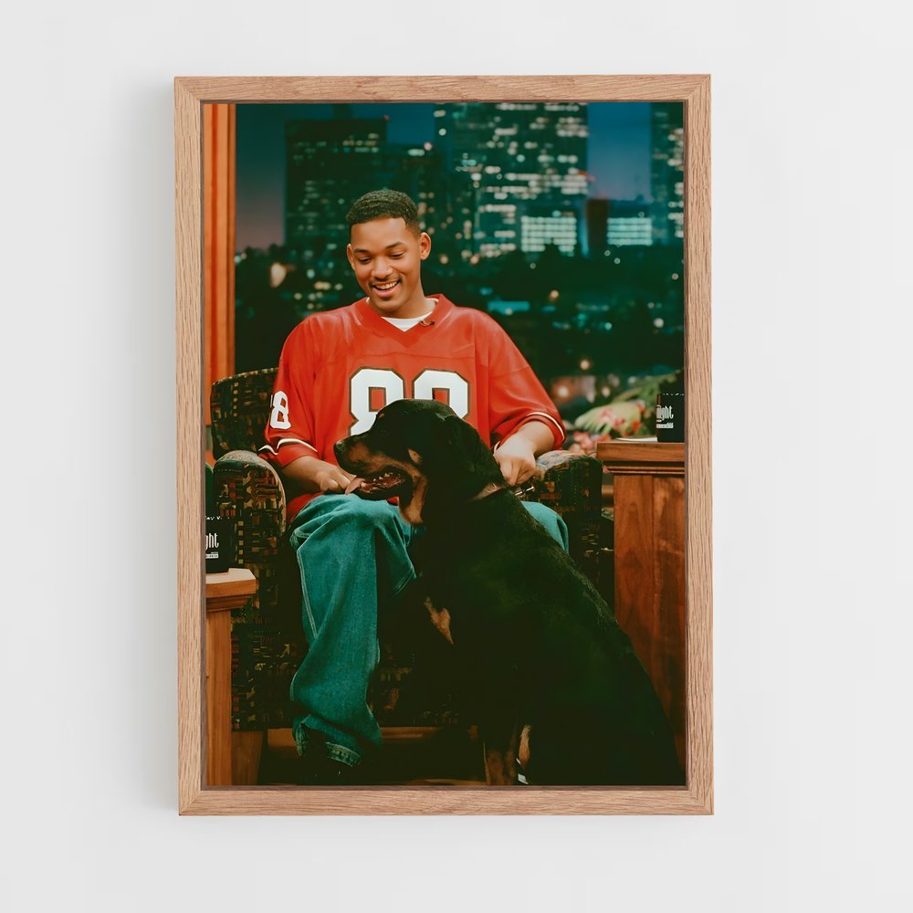 Poster garçon et chien lumière chaleureuse – affiche Baseball (vue 4)
